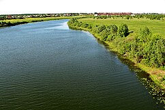 Pronya river in Spassky district of Ryazan Oblast 02.jpg