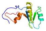 Thumbnail for Poly(A)-specific ribonuclease