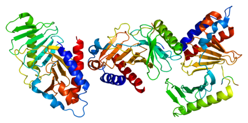 Protein PLK1 PDB 1q4k.png