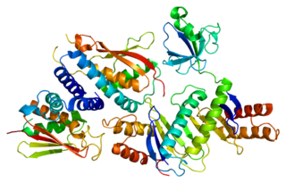 <span class="mw-page-title-main">TRAPPC4</span> Protein-coding gene in the species Homo sapiens