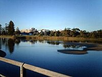 View from bridge across creek Puckeys.jpg