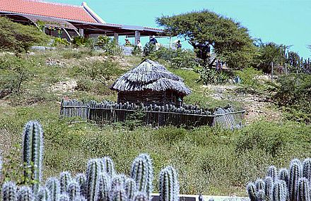 Traditional old houses with cactus fences, preserved in the outdoor museum of Rincon, Bonaire