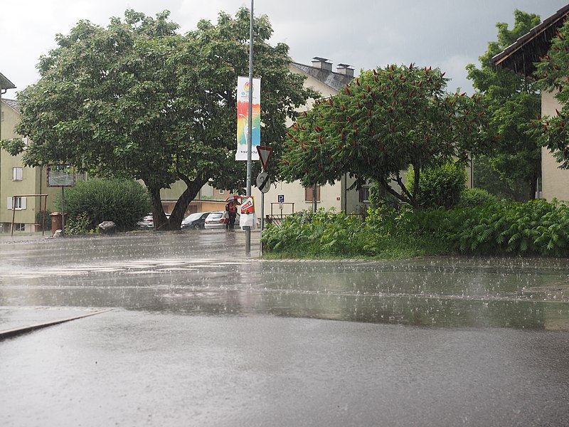 File:Rain shower in Dornbirn.jpg