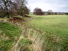 Rainsborough Camp - geograph.org.uk - 99344.jpg