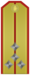 Insignia de rango de Capitán del ejército búlgaro.png