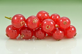 Redcurrant (Ribes rubrum) fruits.jpg