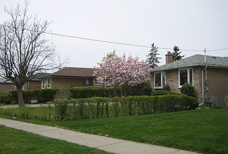 Rexdale houses