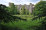 a ruinous castle with trees and grassland