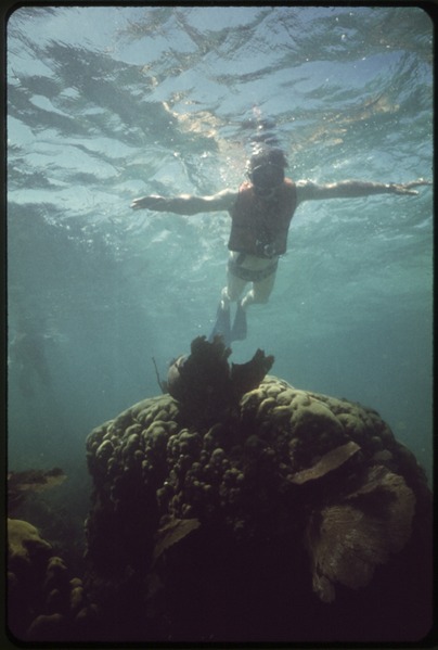 File:SNORKELING AT JOHN PENNEKAMP CORAL REEF STATE PARK NEAR KEY LARGO - NARA - 548683.tif