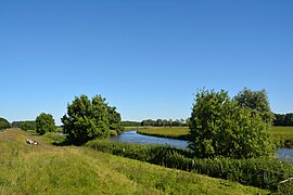 Mündung der Bramau in die Stör