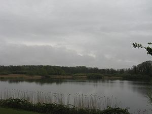 View over the Schulensee in the nature reserve (2008)