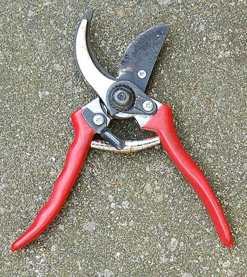 Pruning shears