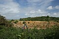 Shide Quarry, on St George's Down at Shide, Isle of Wight.