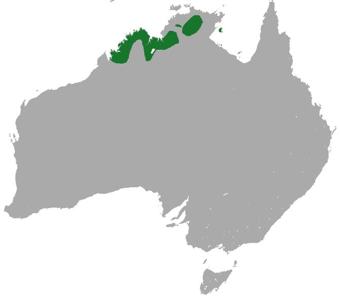 File:Short-eared Rock Wallaby area.png