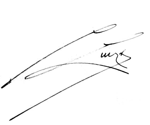 signature de Charles Luizet