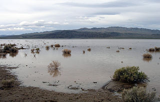 <span class="mw-page-title-main">Silver Lake (Mojave)</span> Lake in the state of California, United States