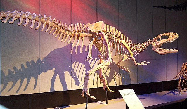 Metriacanthosauridae