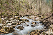 English: The Klammbach is comming out of the Dr.-Vogelgesang-Klamm in Spital am Pyhrn in Upper Austria. Deutsch: Der Klammbach unterhalb der Dr.-Vogelgesang-Klamm in Spital am Pyhrn (Oberösterreich).