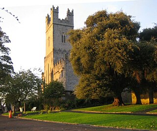 <span class="mw-page-title-main">St Mary's Cathedral, Limerick</span> Anglican Cathedral in Limerick, Ireland