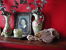 Plants, animal bones and second-hand objects are all parts of the goblincore aesthetic. Still life with animal skull and vases.jpg