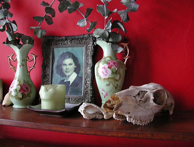 File:Still life with animal skull and vases.jpg
