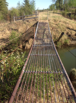 Jembatan gantung di atas Utara Raven Sungai.png