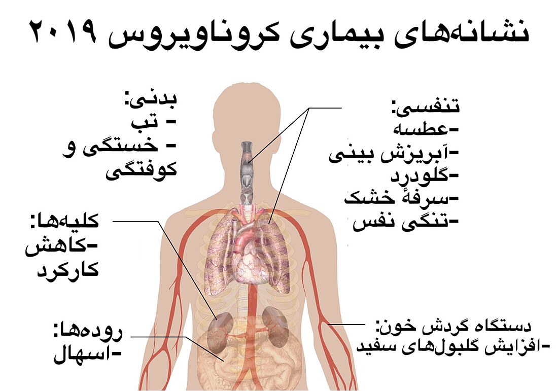 کووید ۱۹