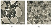 Miniatuur voor Bestand:TEM images of silica-organic matrix-based suspension.jpg