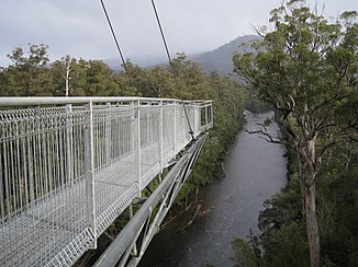 Sammenløp av Picton-elven med Huon-elven fra Tahune Forest AirWalk