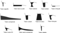 22:04, 6 Հոկտեմբերի 2008 տարբերակի մանրապատկերը