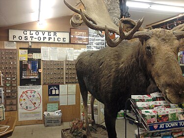 Interior of a community post office in Glover, Vermont Taxidermied moose U.S. Post Office inside Currier's Quality Market general store Glover VT March 2013.jpg