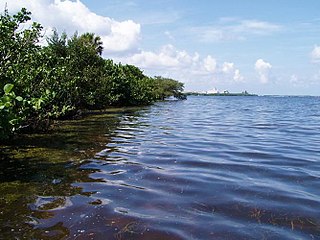 <span class="mw-page-title-main">Terra Ceia Preserve</span> State park in Florida, United States