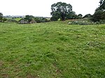 Terrace Hills Pasture