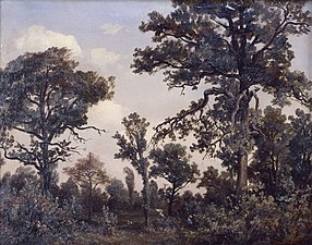 Le Grand chêne, forêt de Fontainebleau, 1839, musée d'art de Saint-Louis.