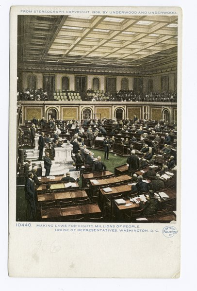 File:The Capitol, House of Representatives making laws, Washington, D.C (NYPL b12647398-68772).tiff