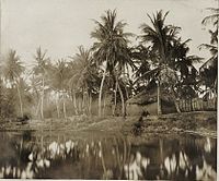Village on the Keta Lagoon, near Keta, 1890s The National Archives UK - CO 1069-34-127-2-001.jpg