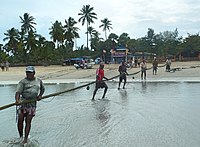 Fishing nets in Sri Lanka