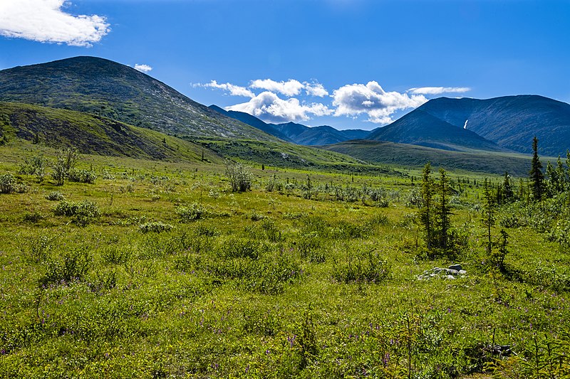 File:Tundra and mountains near Wolf Creek confluence with Firth River, Ivvavik National Park, YT.jpg