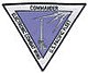 USN electronic combat wing pacific insignia small.jpg