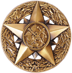 Chief Professional Officer Badge