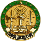 US Army Senior Instructor ID Badge.png