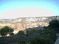 Pinos en la zona de los chalets, en la subida a las bodegas.