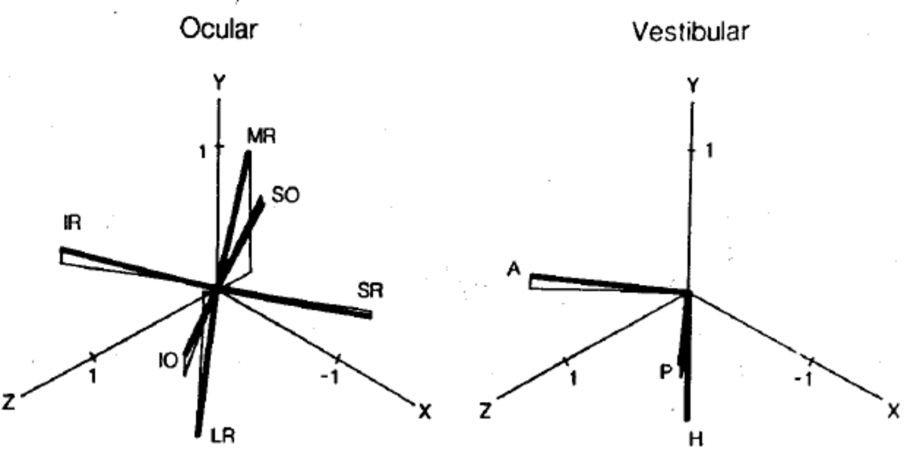 Шесть осей. Тензорная сеть. Unified field Theory PNG.