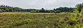 Verruigd vrij nat biotoop. Locatie, Stuttebosch in de lendevallei. Provincie Friesland.