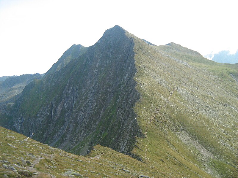 File:Vf. Corabia (2406m) - panoramio.jpg