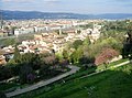 View from Giardino Bardini over Florence