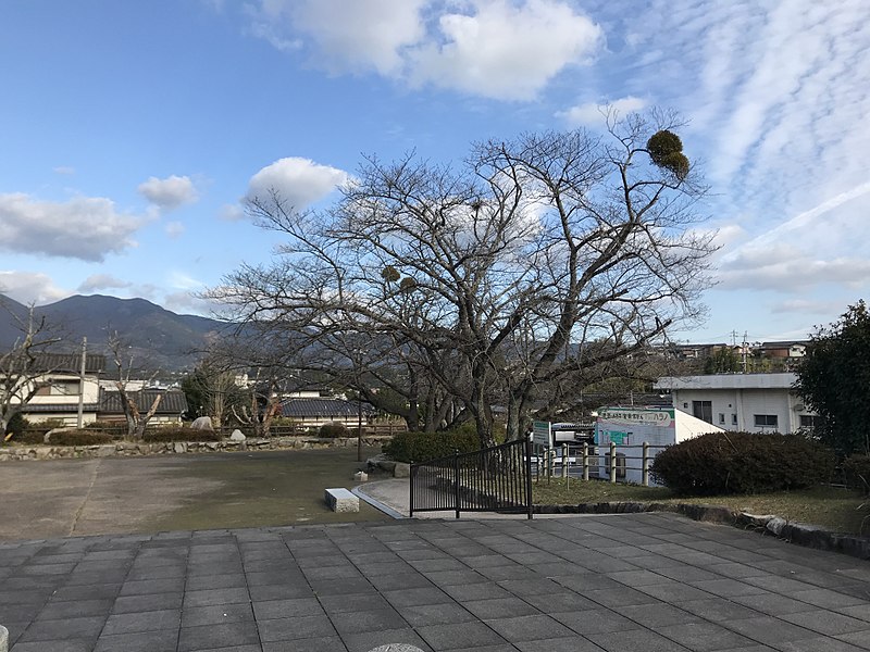 File:View in front of Akaike Station.jpg