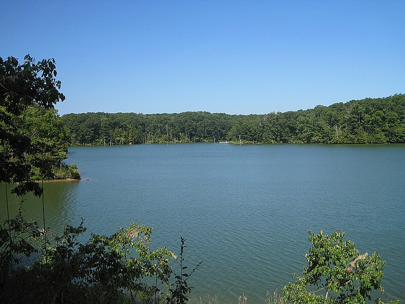 File:Village Creek State Park Wynne AR 57.jpg