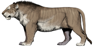 Panthera Fossilis