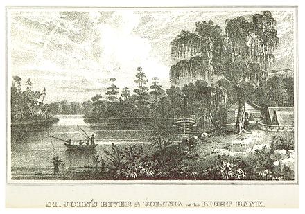 Volusia on the right bank of the St. Johns River (circa 1835)
